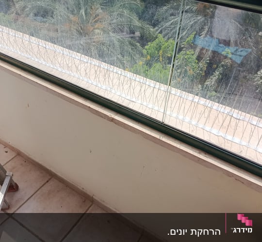 מחסום יונים על מעקה מרפסת עם נוף עצים